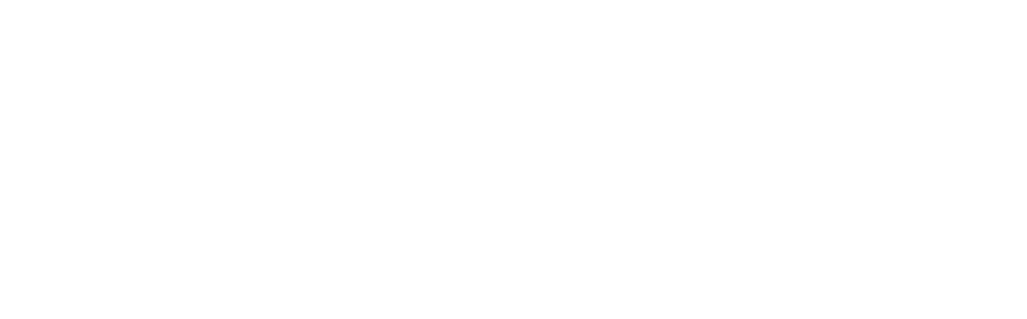 pluscarga